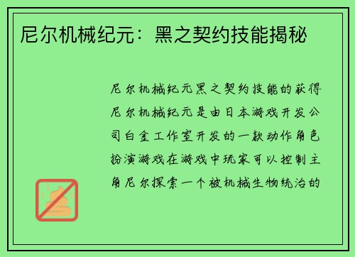 尼尔机械纪元：黑之契约技能揭秘